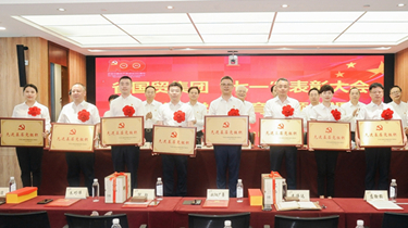 兴发xf(中国区)游戏有限公司